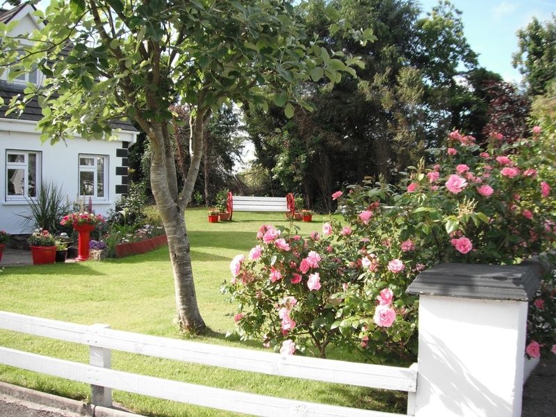 Briar Lodge Bunratty Dış mekan fotoğraf